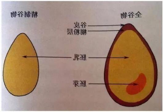 1670558213309890.jpg