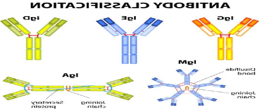 1673921490250072.png