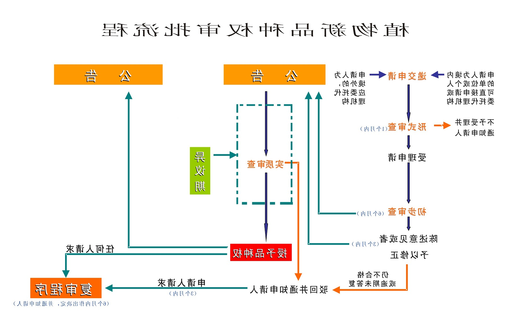 植物新品种审查4.jpg